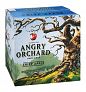 Angry Orchard Crisp 12PACK