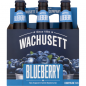 Wachusett Blueberry 12oz BOTTLES 6PACK